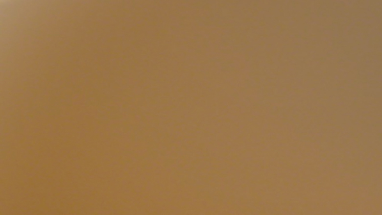 OAKLEY Bronze