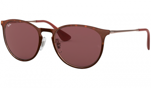 Ray-Ban ERIKA METAL Prescription Sunglasses 3539