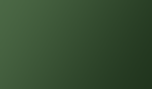 Oakley Graphite Green XTRATransitions