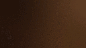 Transition Xtra Brown