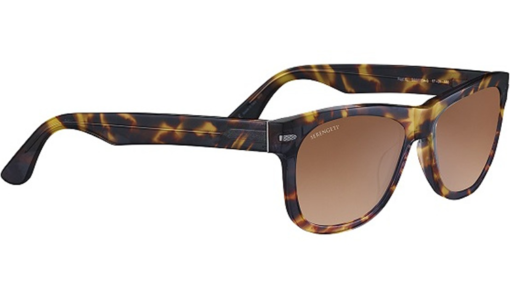Serengeti FOYT LARGE Shiny Tortoise Havana