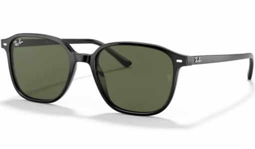 Ray-Ban LEONARD Black 90131