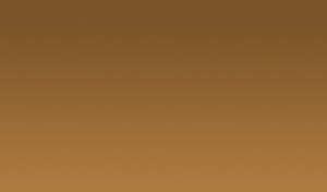 Rudy Project ImpactX Photochromic 2 Laser Brown
