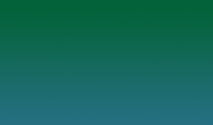 Rudy Project Polar 3FX HDR Multilaser Green